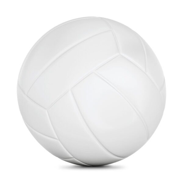 (6 pack) NON BRANDED - COMPOSITE YOUTH STANDARD VOLLEYBALL